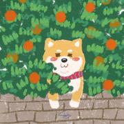 小明不明白的个人资料头像