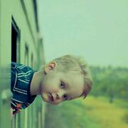 东风不与周郎便的个人资料头像