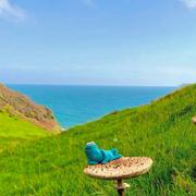 Patrick_W的个人资料头像