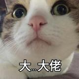 用户6986405685970头像