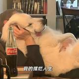 土俄吉头像