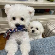 Daite522的个人资料头像