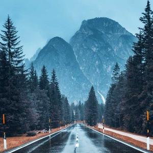 已换号18125983833头像