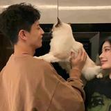 大气花猫Y6f头像