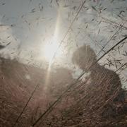 星空下_R11060的个人资料头像