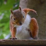北方大土豆的个人资料头像