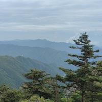 任尔东华帝君头像