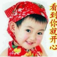 紫函872头像