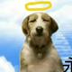 用户8764642569613 · 型格车主·车龄1年头像