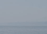 NYRE的个人资料头像