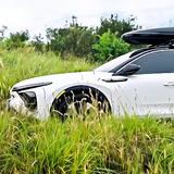 低调的我势不凡尔赛头像