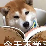 Alexwongy的个人资料头像