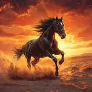 数据小马的个人资料头像