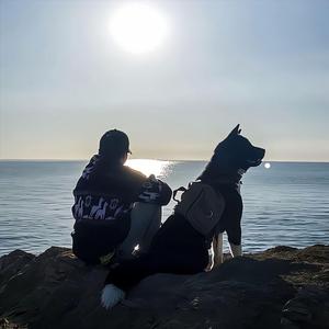 钻头大师头像