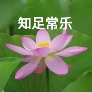 毛毛吃橘子头像