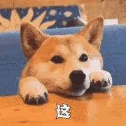 技不如人要学习的个人资料头像