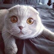 _卡西莫多的个人资料头像