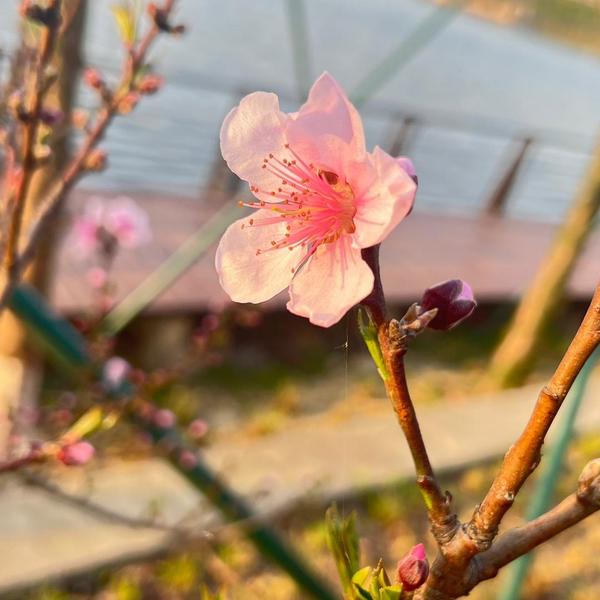 用户7630282556412头像