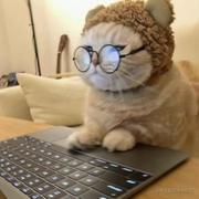 m仔的个人资料头像