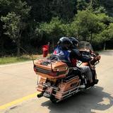 用户639431头像