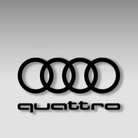 尊贵的帝豪Plus车主头像