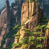 乘风破浪的春风L2o头像