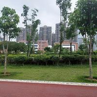 敌不过光阴头像