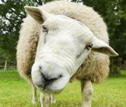 lll123的个人资料头像