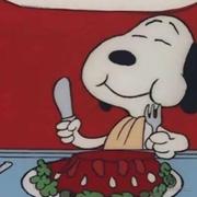 拆家的车厘子的个人资料头像