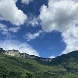 苗皓359头像