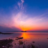 汽车车达人v头像