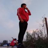 budchedexiaobaicai头像