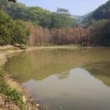 乐天派可可西里去看海头像