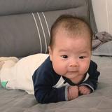 腮蛋子头像