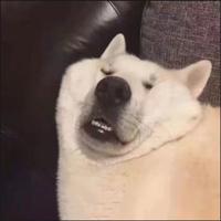 对方正在输入中58869头像