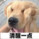 日不见星空头像