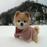 往后余生7025229546472头像