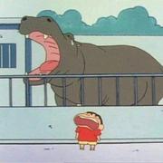 Joey953的个人资料头像