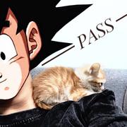 349的个人资料头像