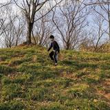李头像