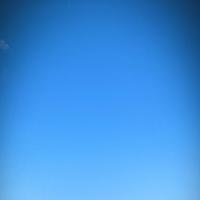 CG哈哈哈哈嗝头像