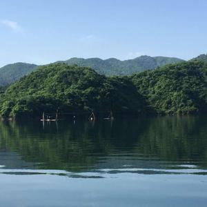 任县天海机械头像