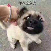 用户9050149798505的个人资料头像