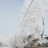 辽A好几个八头像