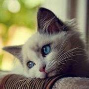 阿边_的个人资料头像