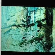 炎夏的个人资料头像