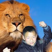 春华秋实39346头像