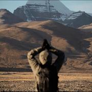 檐角小猫的个人资料头像