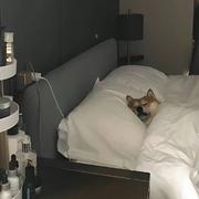 Noimpty的个人资料头像