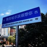 沉默de证人头像